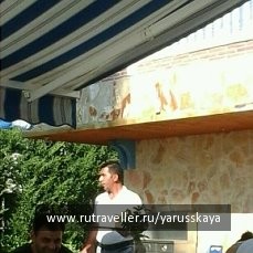 photo 1147478
