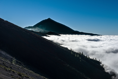 photo 235082