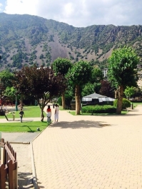 photo 823382