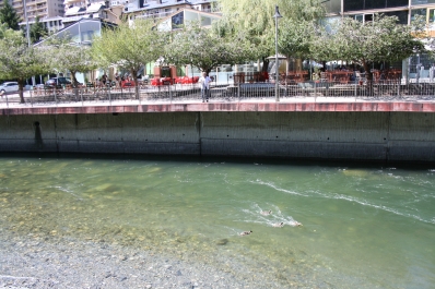 photo 828214