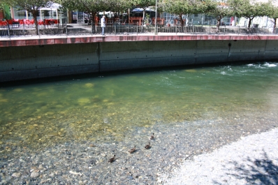 photo 828220