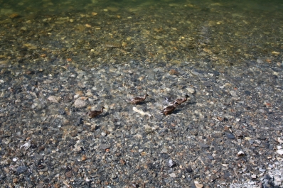 photo 828221