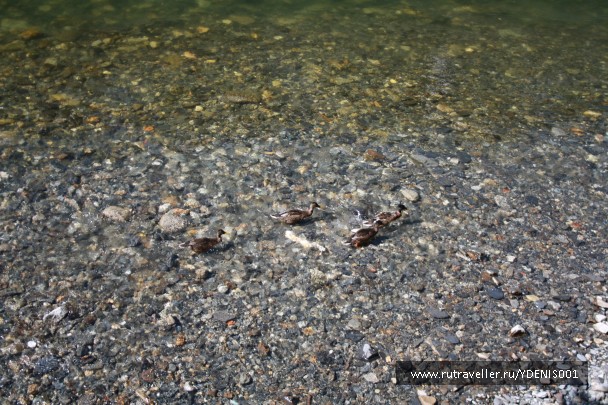 photo 828221