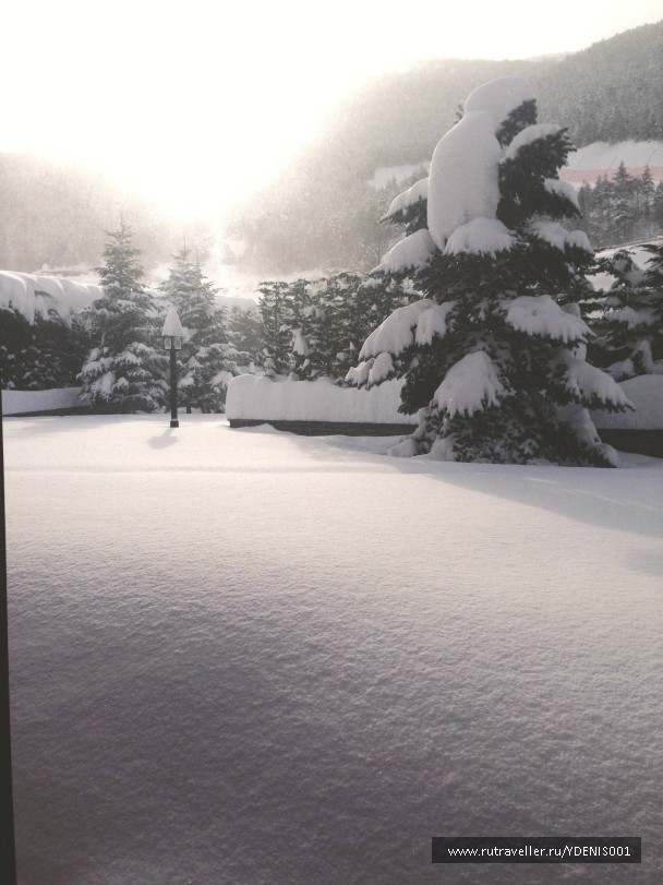 photo 886646