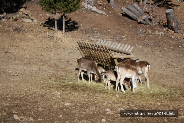 photo 942711