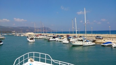photo 806637