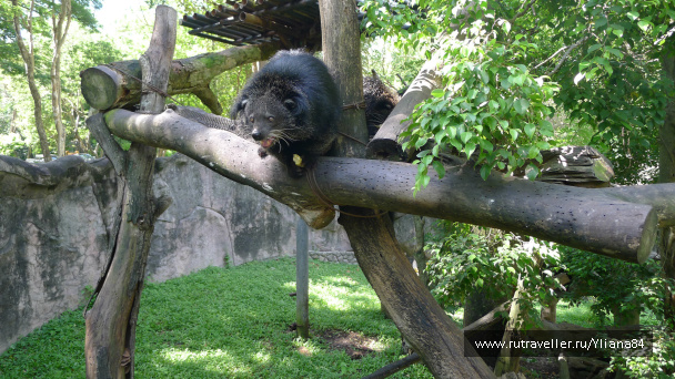 photo 241804