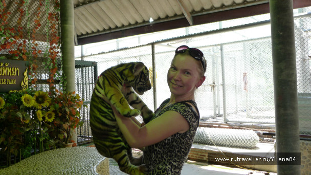 photo 241811