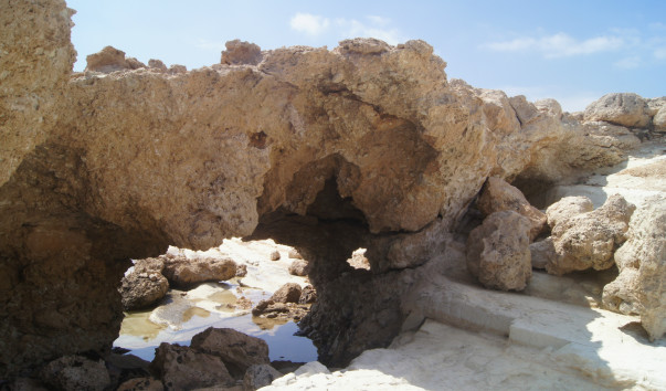 DSC06635