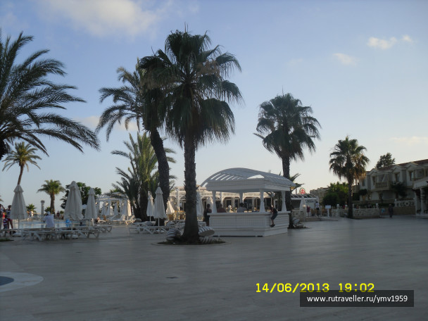 photo 420835
