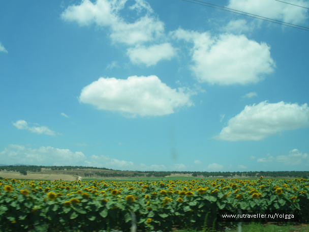 photo 106336