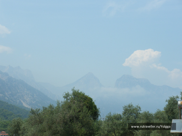 photo 105774