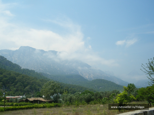 photo 105775