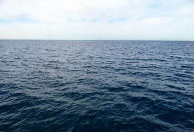 photo 1040422
