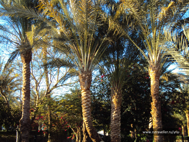 photo 696961