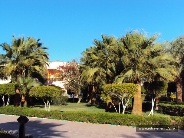 photo 696963