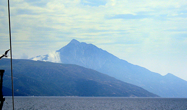 DSC1103