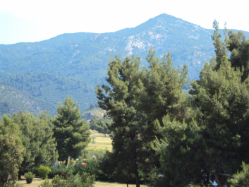 photo 659393