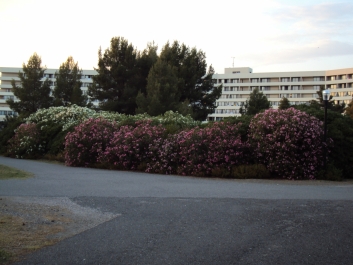 photo 714142