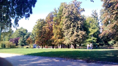 photo 1142568