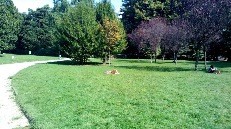 photo 1177208