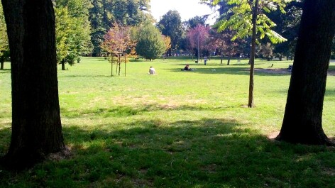 photo 1221883