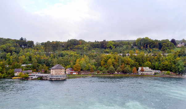 DSC_3535
