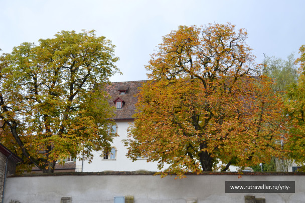 photo 1144176