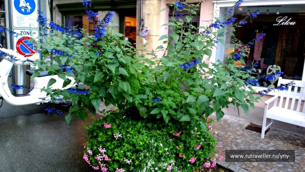 photo 1267214