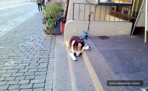 photo 1137344