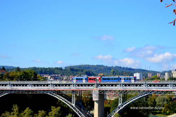 photo 1142877
