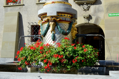 photo 1147641