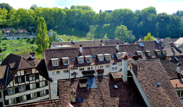 DSC_04056