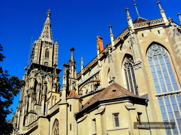 photo 1446752