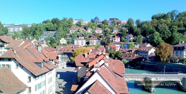 photo 1495482