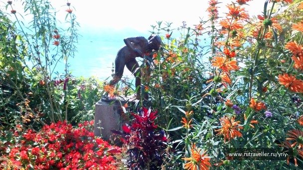 photo 1133885