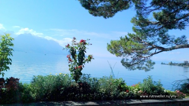photo 1141275