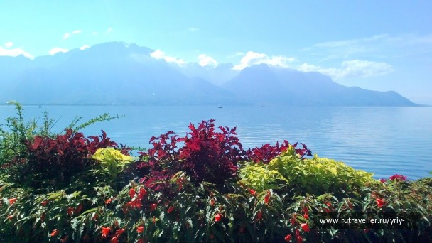 photo 1147710