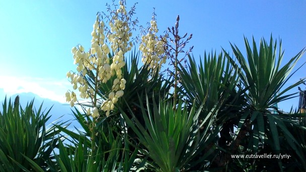 photo 1151802