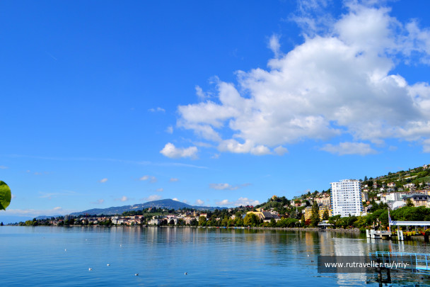 photo 1172064