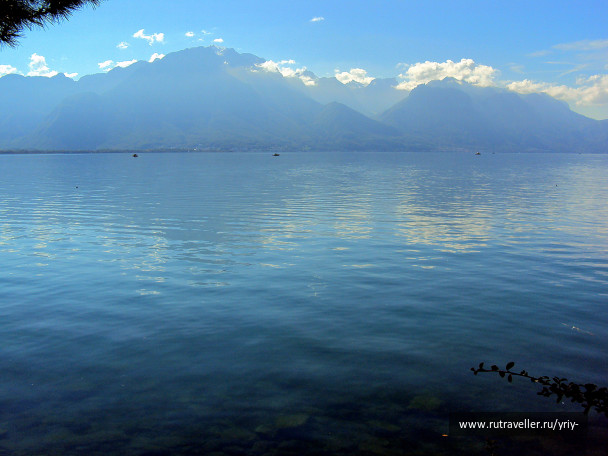 photo 1454831