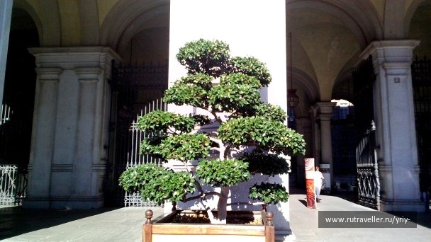 photo 1158012