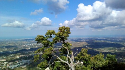 photo 1235922