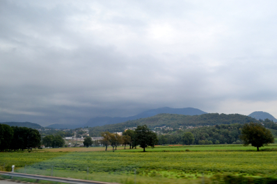 photo 1134204