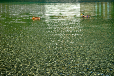 photo 1152309