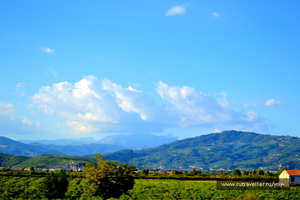 photo 1262035