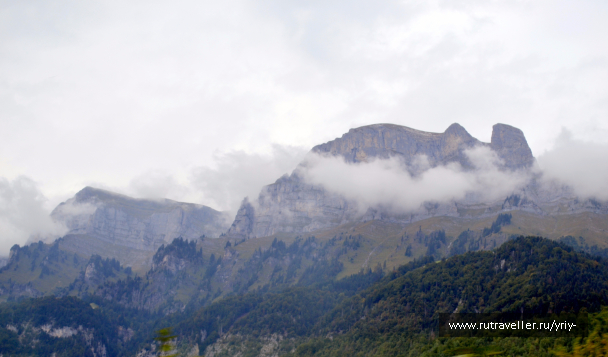 photo 1267745