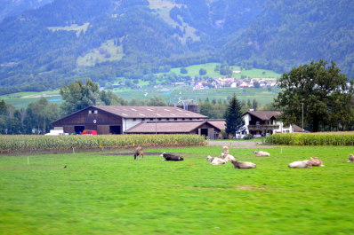 photo 1457423