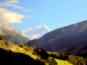 photo 1517185