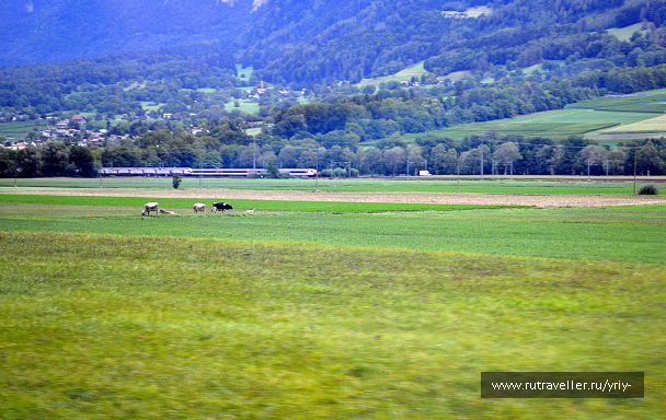 photo 1615168
